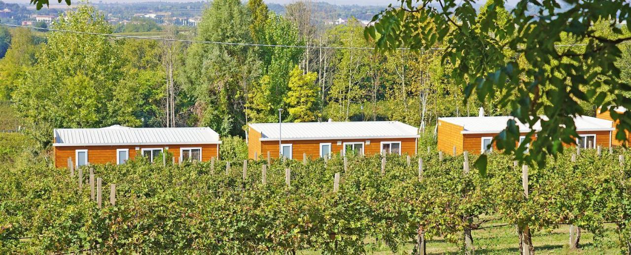 Agriturismo B&B Corte Tonolli Valeggio sul Mincio Eksteriør bilde